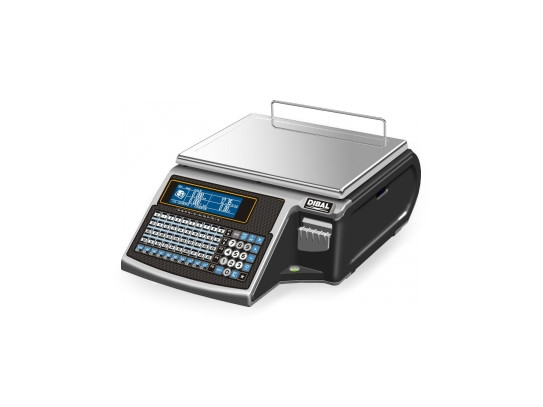 kasa kasa
